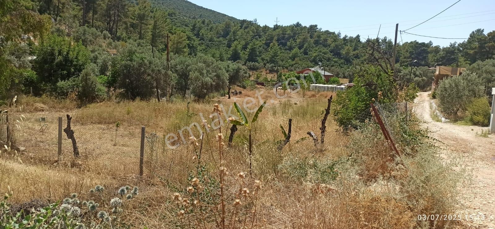 Kaş Yeşilköy'de 4 Dönüm İçinde Havuzlu Çiftlik Evi Ve Müştemilat - Görsel 2