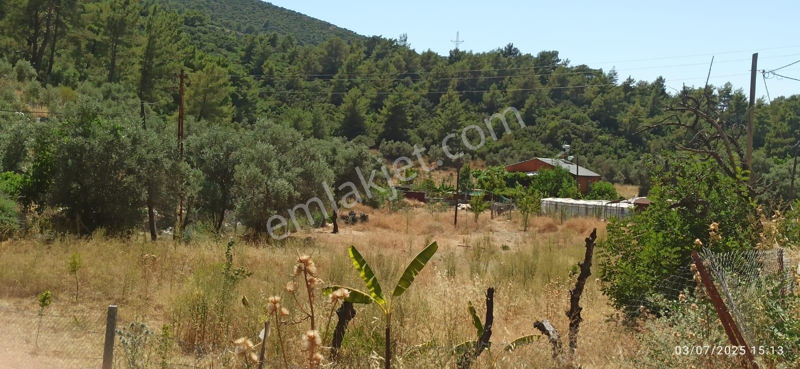 Kaş Yeşilköy'de 4 Dönüm İçinde Havuzlu Çiftlik Evi Ve Müştemilat - Görsel 16