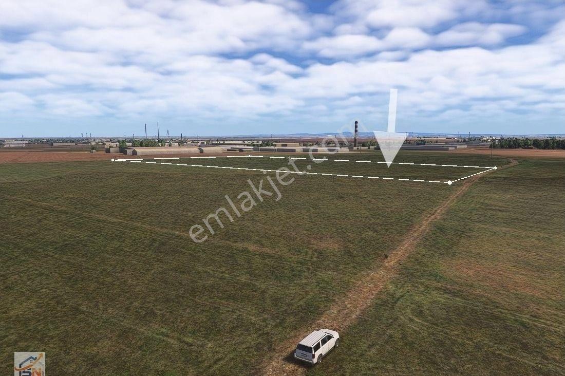 Tekirdağ Ergenede Sanayi Dibinde Satılık Arazi - Görsel 5