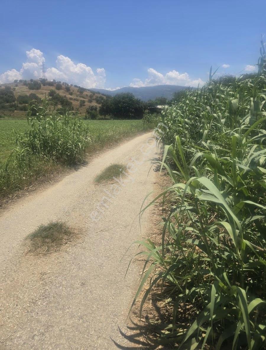 Tire Arslan Emlaktan 4600 M2 Toki Mh.satılık Yol Kenarı Tarla