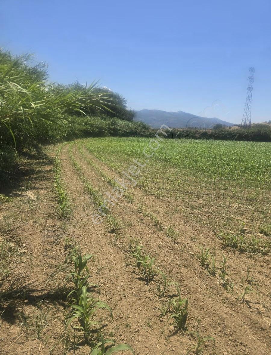 Tire Arslan Emlaktan 4600 M2 Toki Mh.satılık Yol Kenarı Tarla - Görsel 6