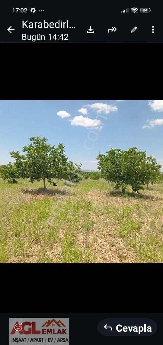 Çivril Karabedirler De Yatırımlık Ceviz Bahçesi.. - Görsel 8