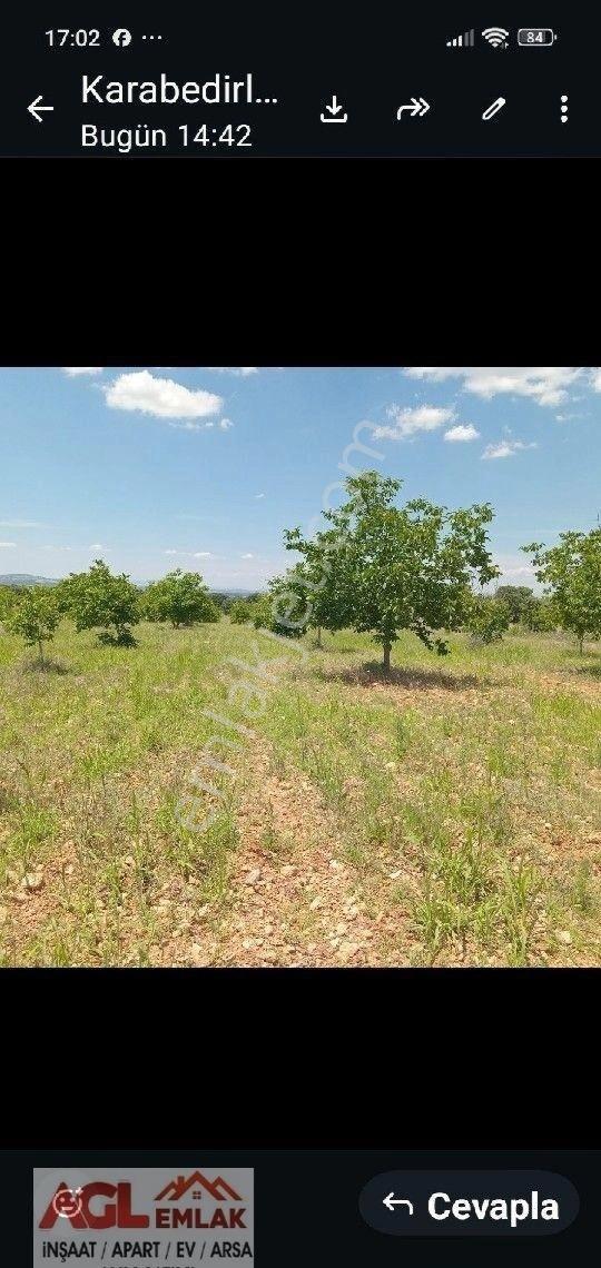 Çivril Karabedirler De Yatırımlık Ceviz Bahçesi.. - Görsel 9