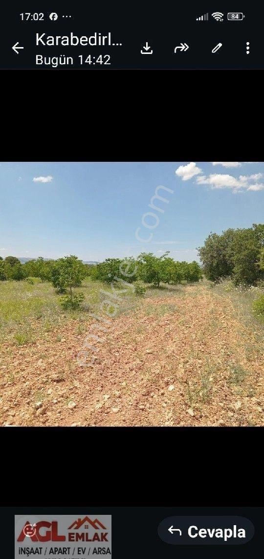 Çivril Karabedirler De Yatırımlık Ceviz Bahçesi.. - Görsel 11