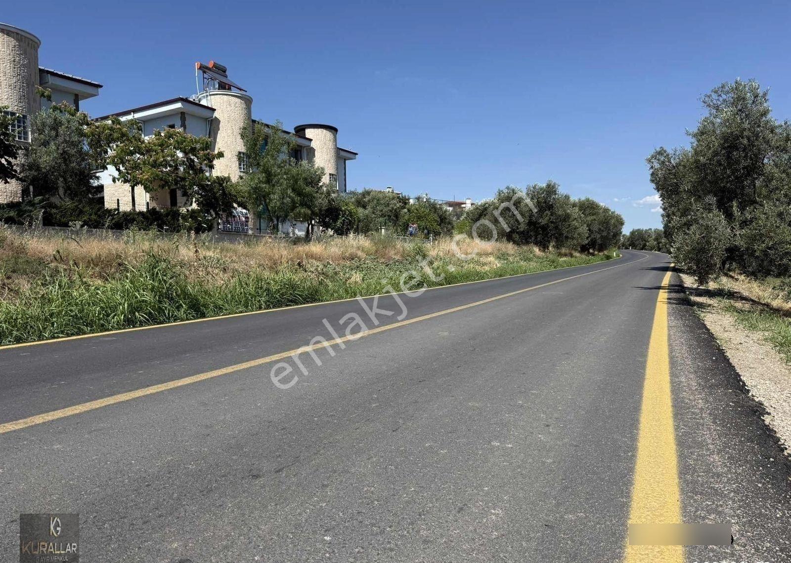 Artur Tatil Sitesine Komşu Eşsiz Fırsat Zeytinlik - Görsel 28