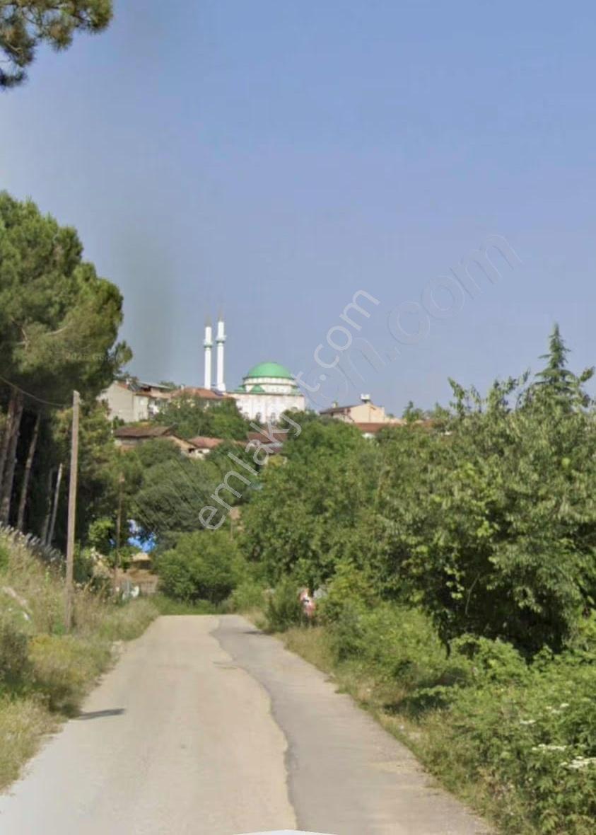 İnegöl Süpürtü De Satılık Yola Cephe Şerefiyeli Araz - Görsel 2