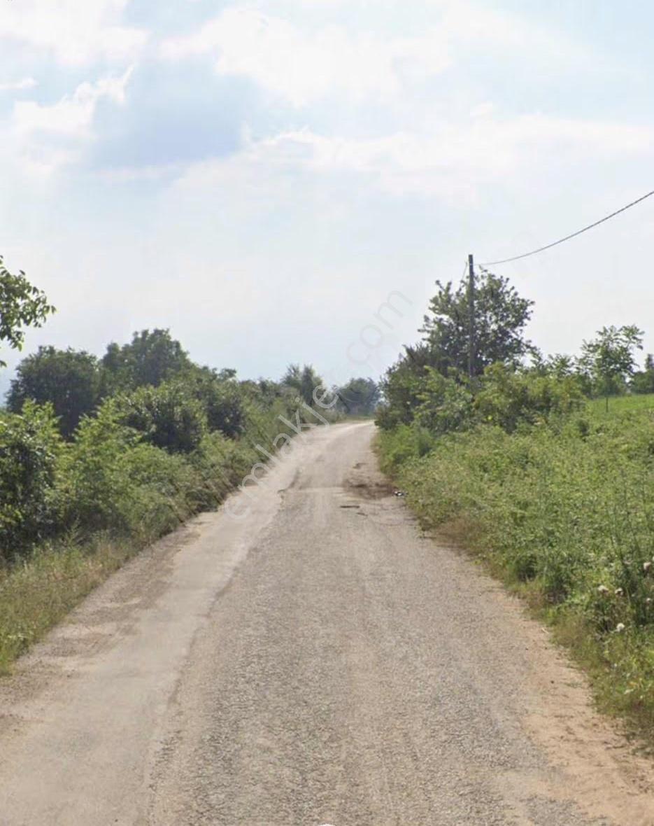 İnegöl Süpürtü De Satılık Yola Cephe Şerefiyeli Araz - Görsel 3