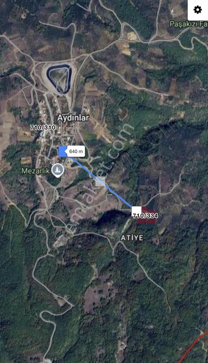 İznik Aydınlar Köyünde Satılık 8883 Metre² Zeytinlik - Görsel 3