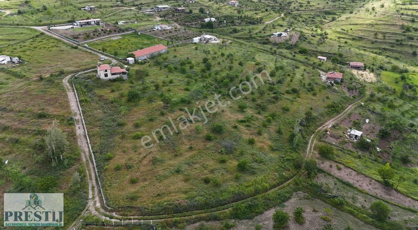 Premıum Villalı Meyve Bahçesi Ve Yatırımlık Tarla - Görsel 2