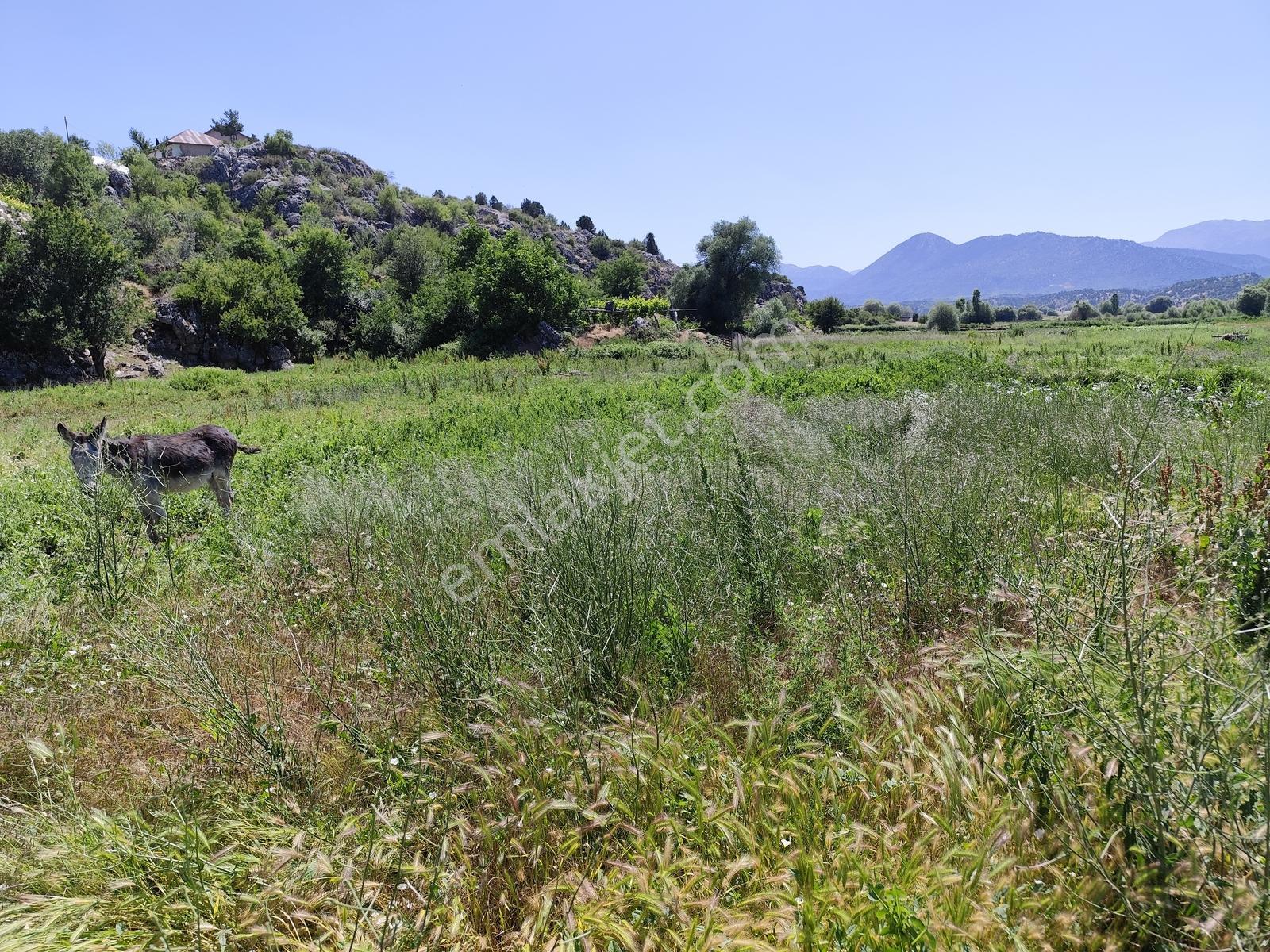 Dere Kenarında 210 M2 Bahçe Köy Dibi - Görsel 8