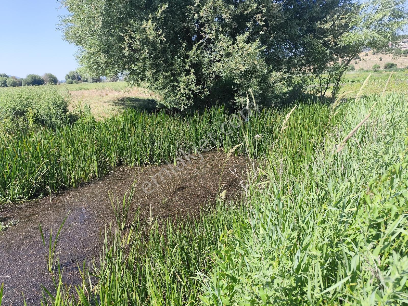 Dere Kenarında 210 M2 Bahçe Köy Dibi - Görsel 5