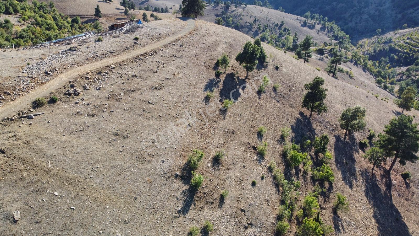Büyük Metre Küçük Fiyat Adana Da Yatırımlık Tarla - Görsel 7
