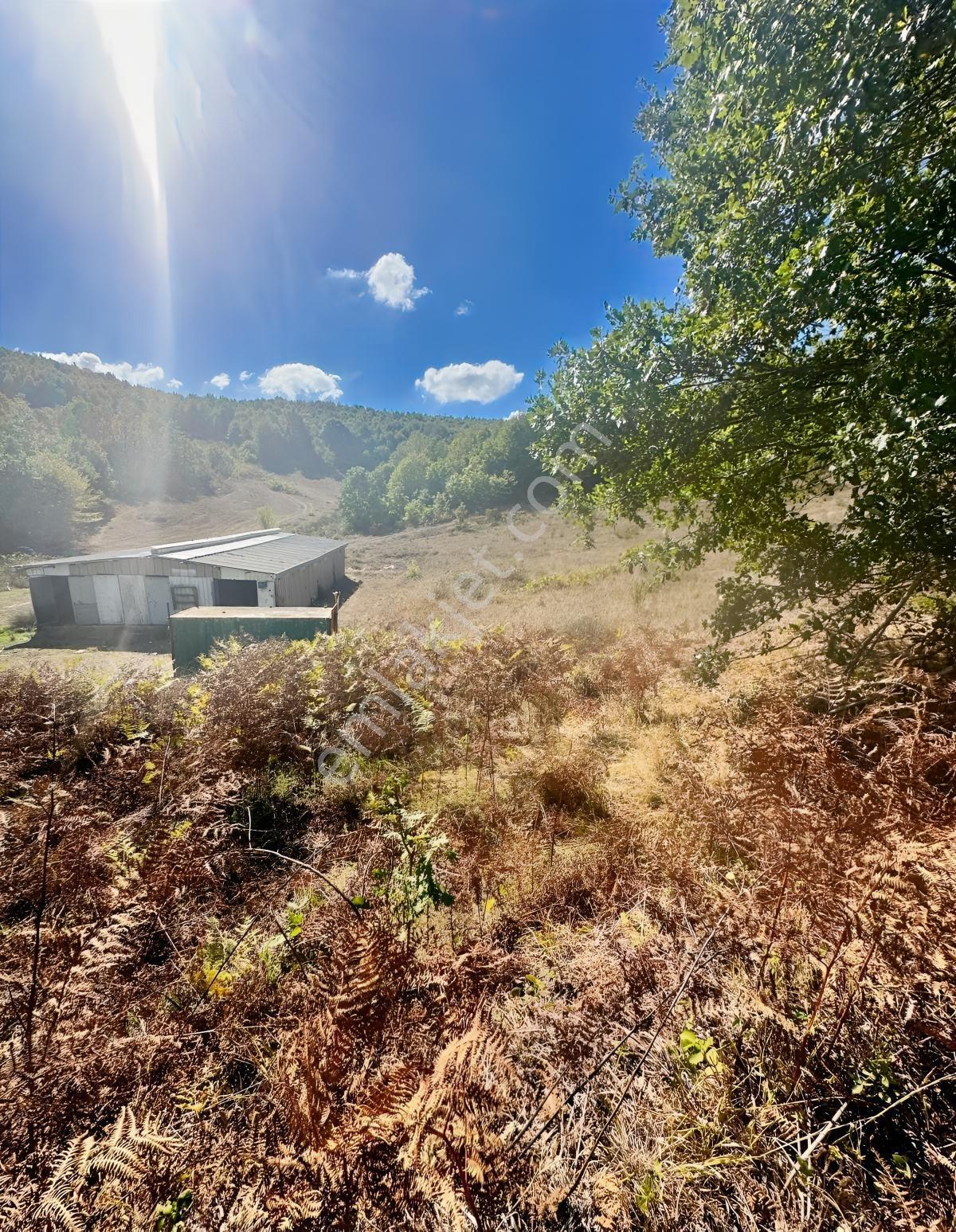 Gebze Tepemanayırda 7.456 M² Tek Tapu Satılık Yatırımlık Tarla - Görsel 9