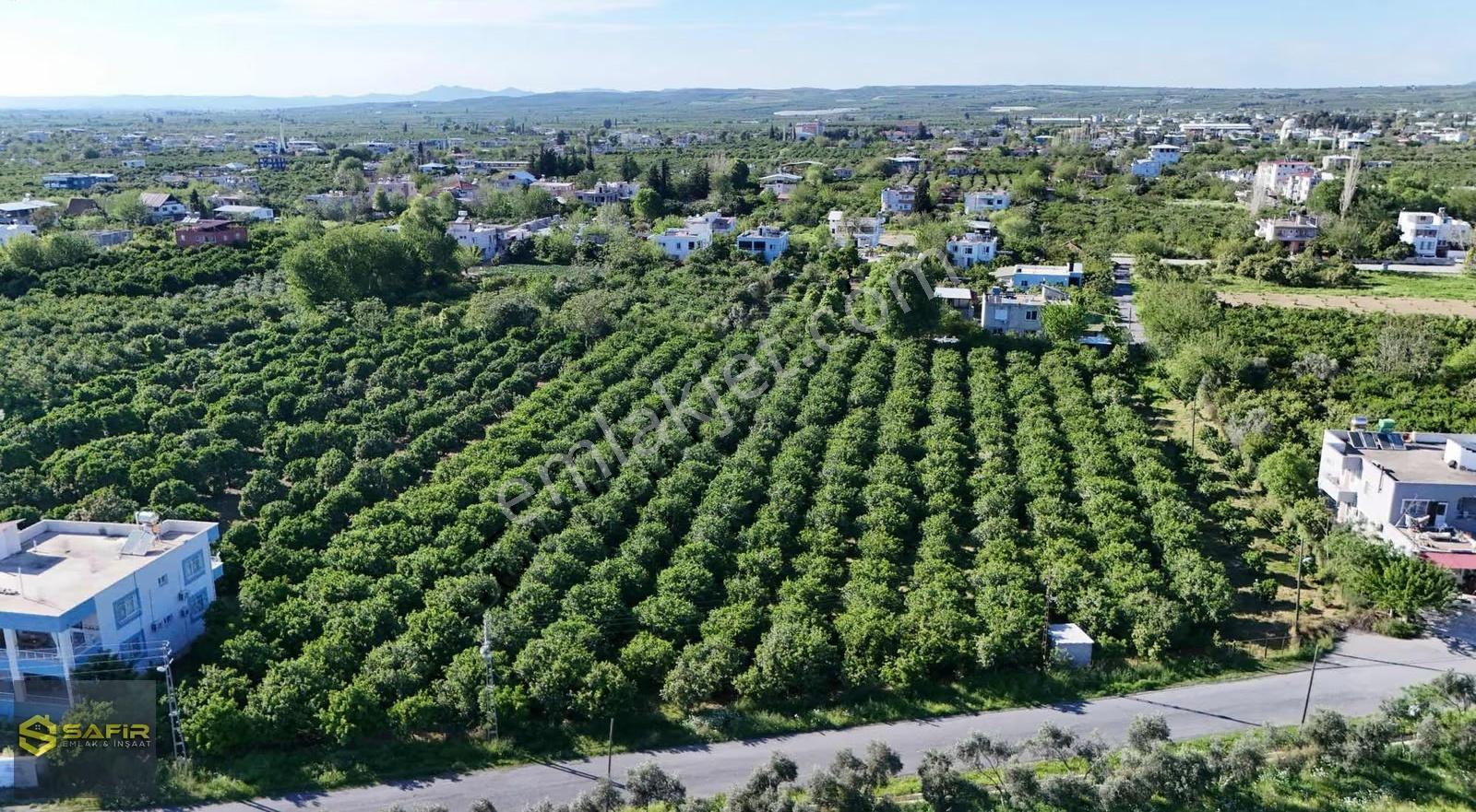 Safir'den Yeşilköyde 2 Kat İmarlı, 100 Ton Verimli, Bahçe!! - Görsel 14