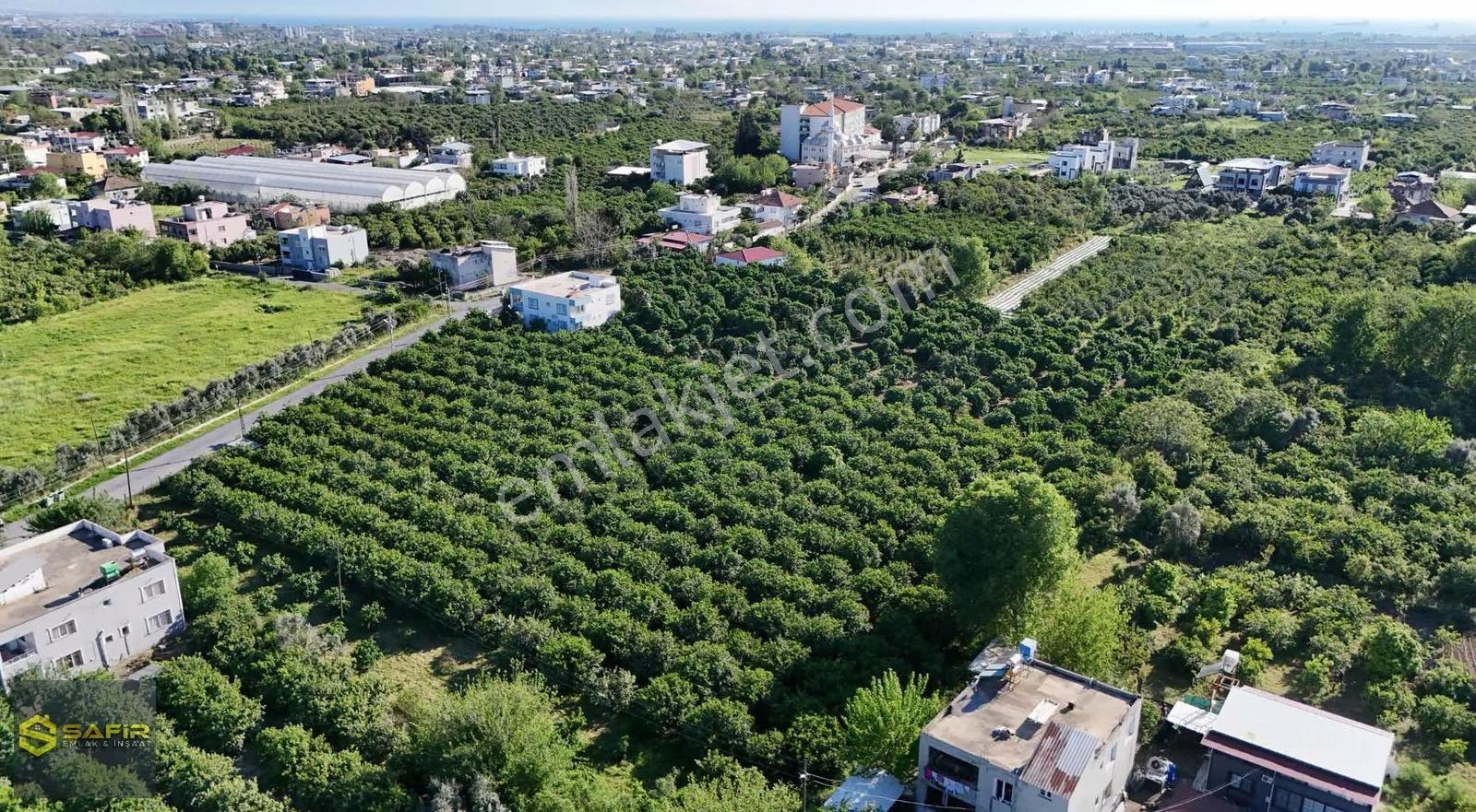 Safir'den Yeşilköyde 2 Kat İmarlı, 100 Ton Verimli, Bahçe!! - Görsel 17