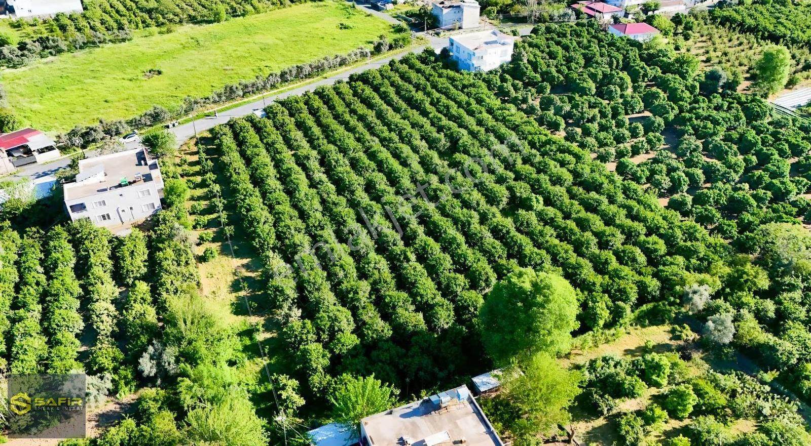 Safir'den Yeşilköyde 2 Kat İmarlı, 100 Ton Verimli, Bahçe!! - Görsel 2