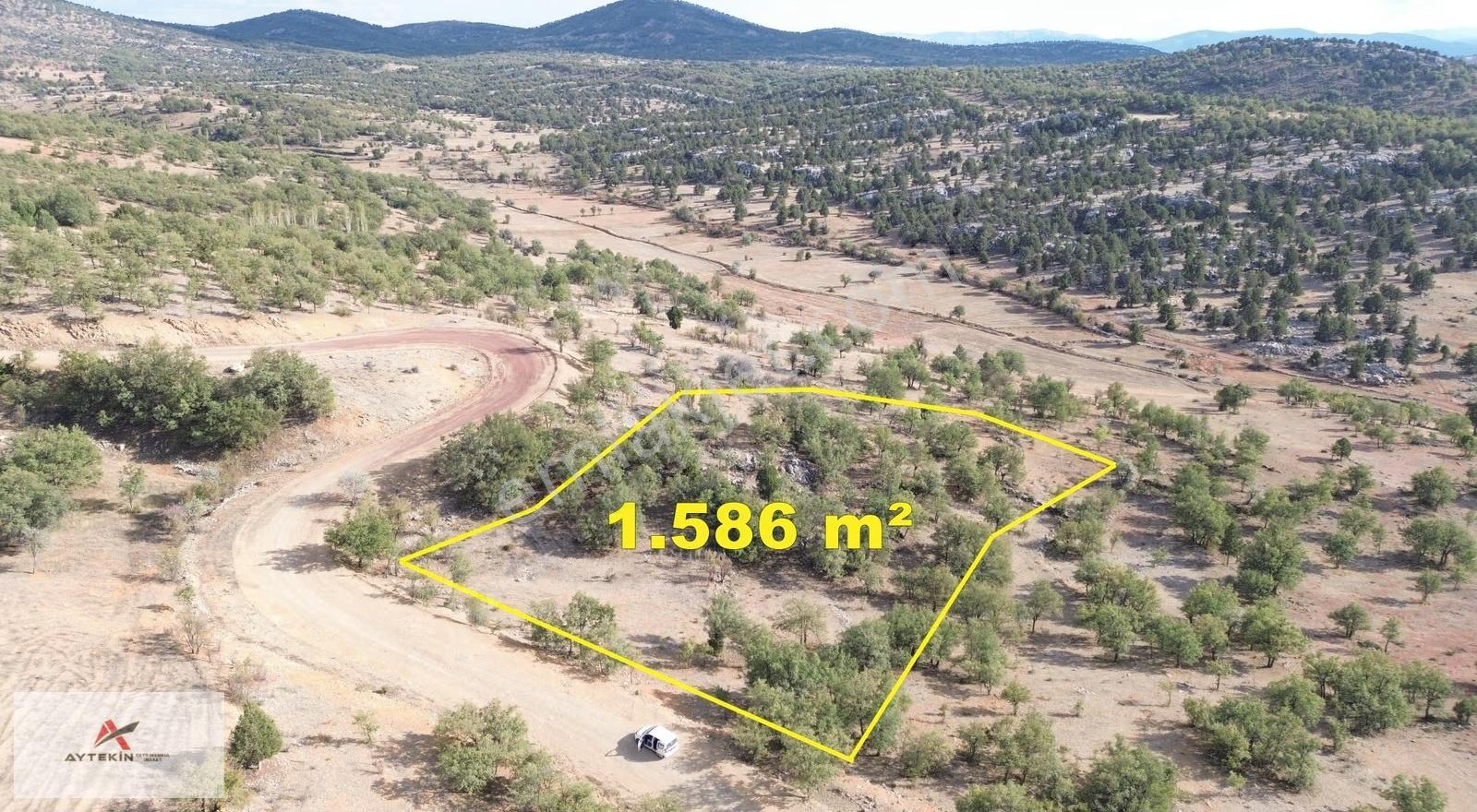 Bozkır Hacılar Mahallesi'nde 1.586 M² Müstakil Tapulu Tarla - Görsel 3