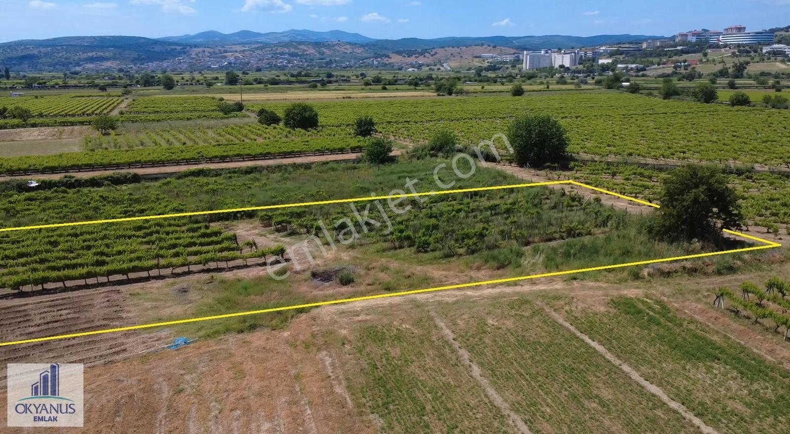 Yağcılar Da 1.225 M2 Bağ, Kampüs Asfaltına 650 Mt Uzaklıkta - Görsel 7