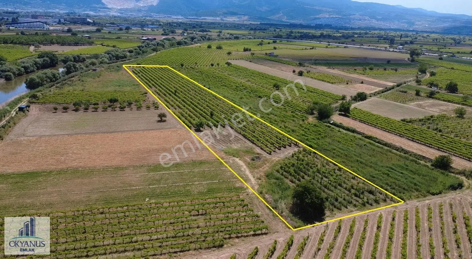 Yağcılar Da 1.225 M2 Bağ, Kampüs Asfaltına 650 Mt Uzaklıkta - Görsel 5