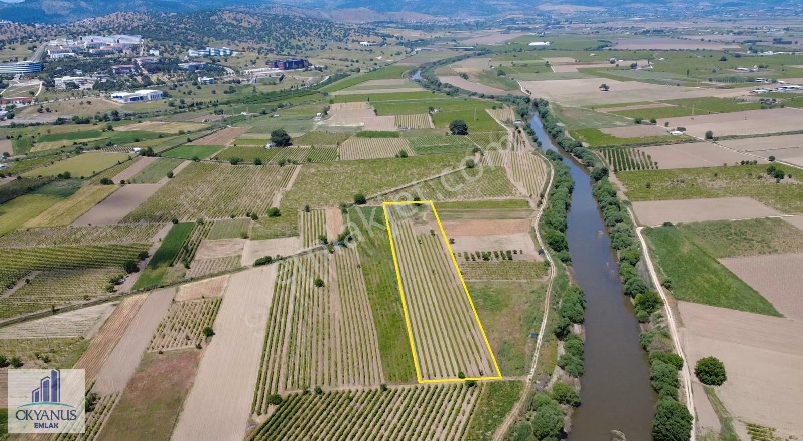 Yağcılar Da 1.225 M2 Bağ, Kampüs Asfaltına 650 Mt Uzaklıkta