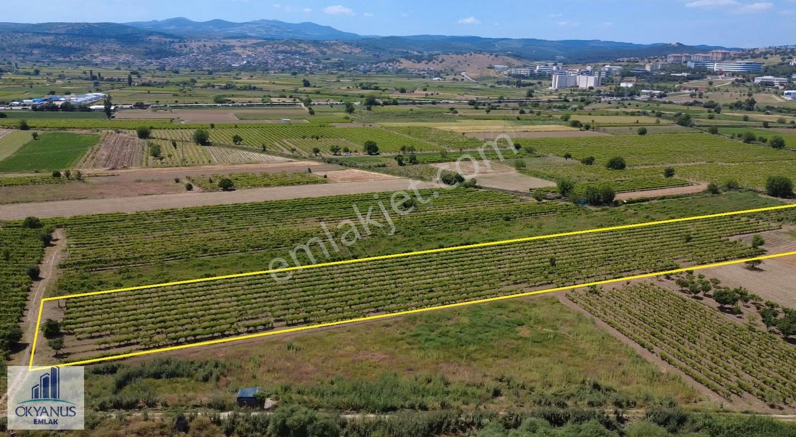Yağcılar Da 1.225 M2 Bağ, Kampüs Asfaltına 650 Mt Uzaklıkta - Görsel 4