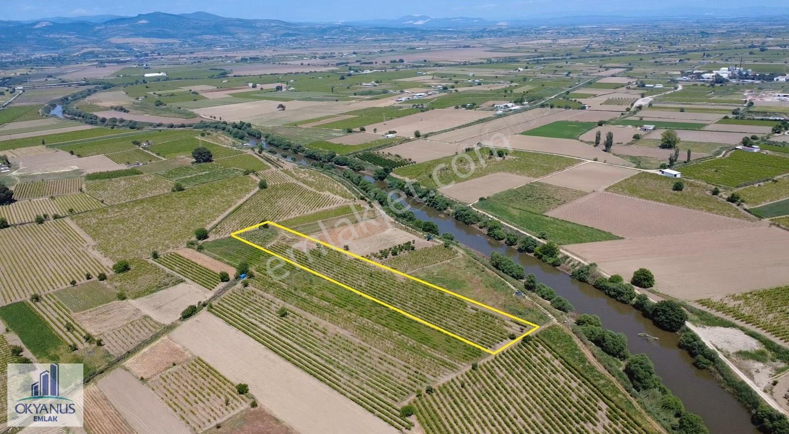 Yağcılar Da 1.225 M2 Bağ, Kampüs Asfaltına 650 Mt Uzaklıkta - Görsel 3
