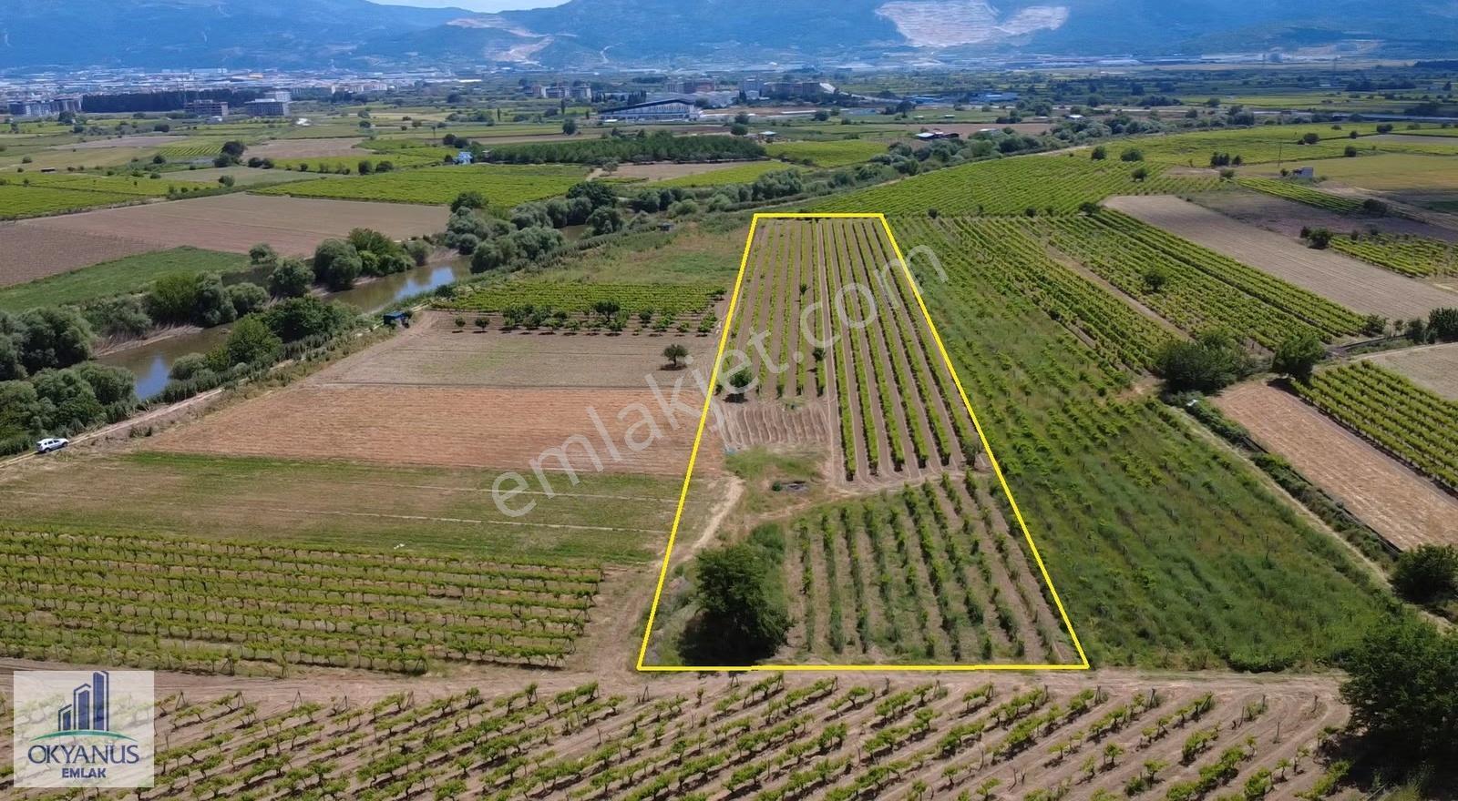 Yağcılar Da 1.225 M2 Bağ, Kampüs Asfaltına 650 Mt Uzaklıkta - Görsel 2