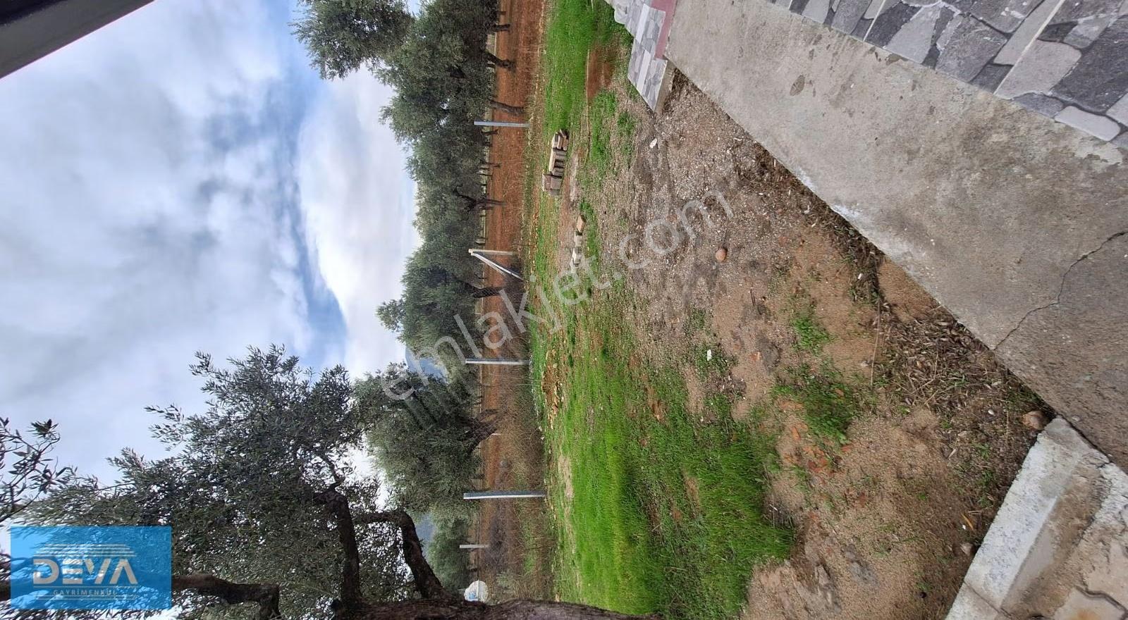 Dağkızılcada Satlık 351m2 Bahçe 60m2 İçersinde Betonerme Ev - Görsel 26