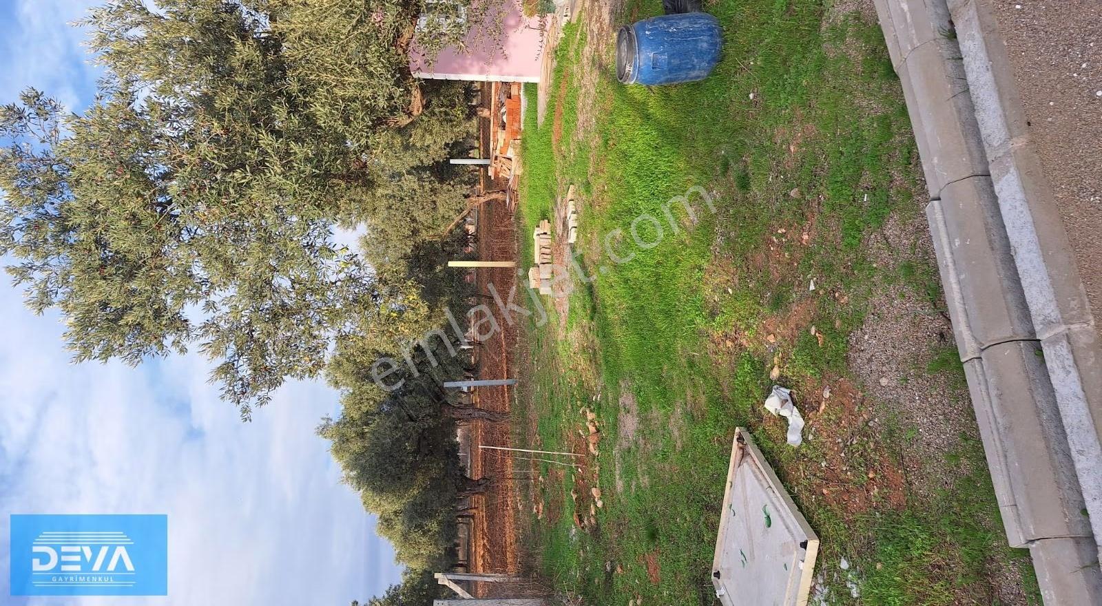 Dağkızılcada Satlık 351m2 Bahçe 60m2 İçersinde Betonerme Ev - Görsel 4