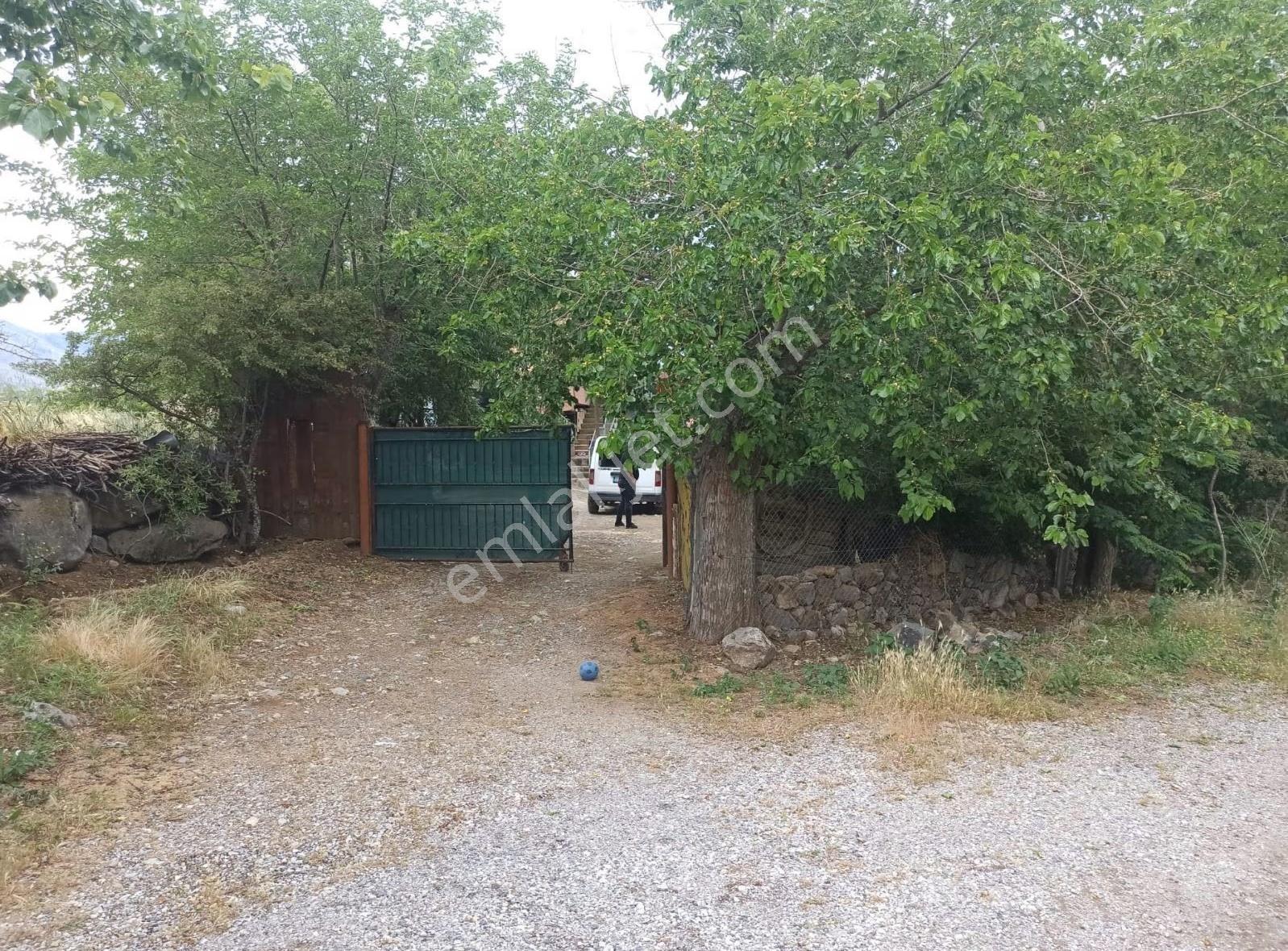 Zerteriç Köyünde Satılık Bahçe - Görsel 31