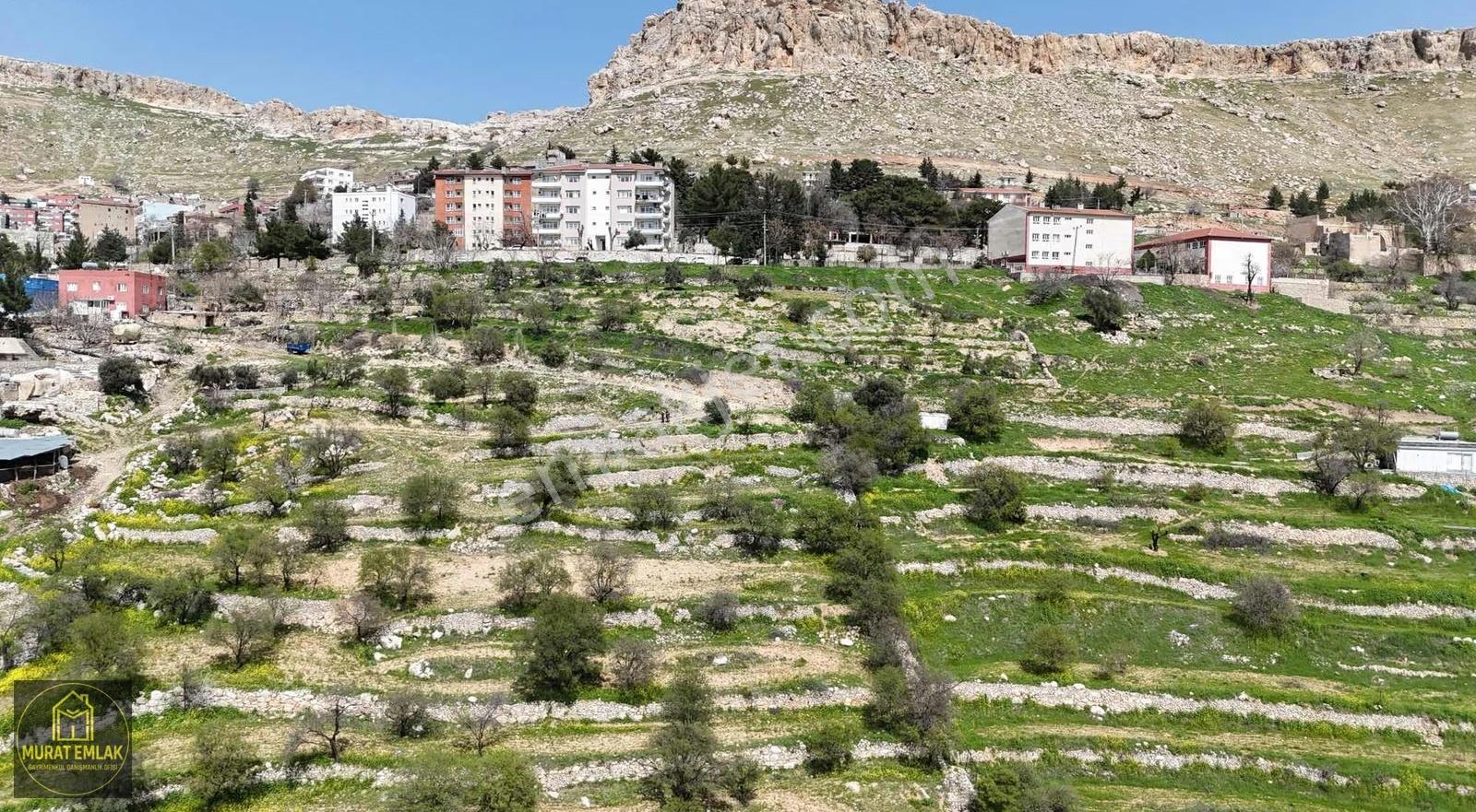 Murat Emlaktan Ordu Evi Yani 10.5 Dönüm Manzaralı Arazi Satılık - Görsel 6