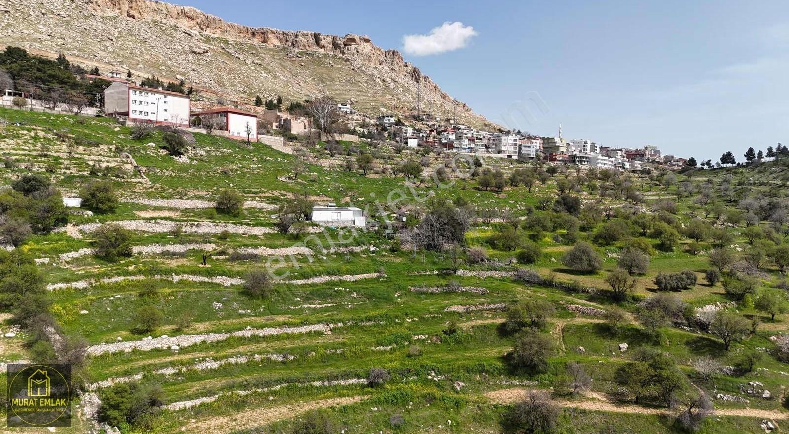 Murat Emlaktan Ordu Evi Yani 10.5 Dönüm Manzaralı Arazi Satılık - Görsel 8