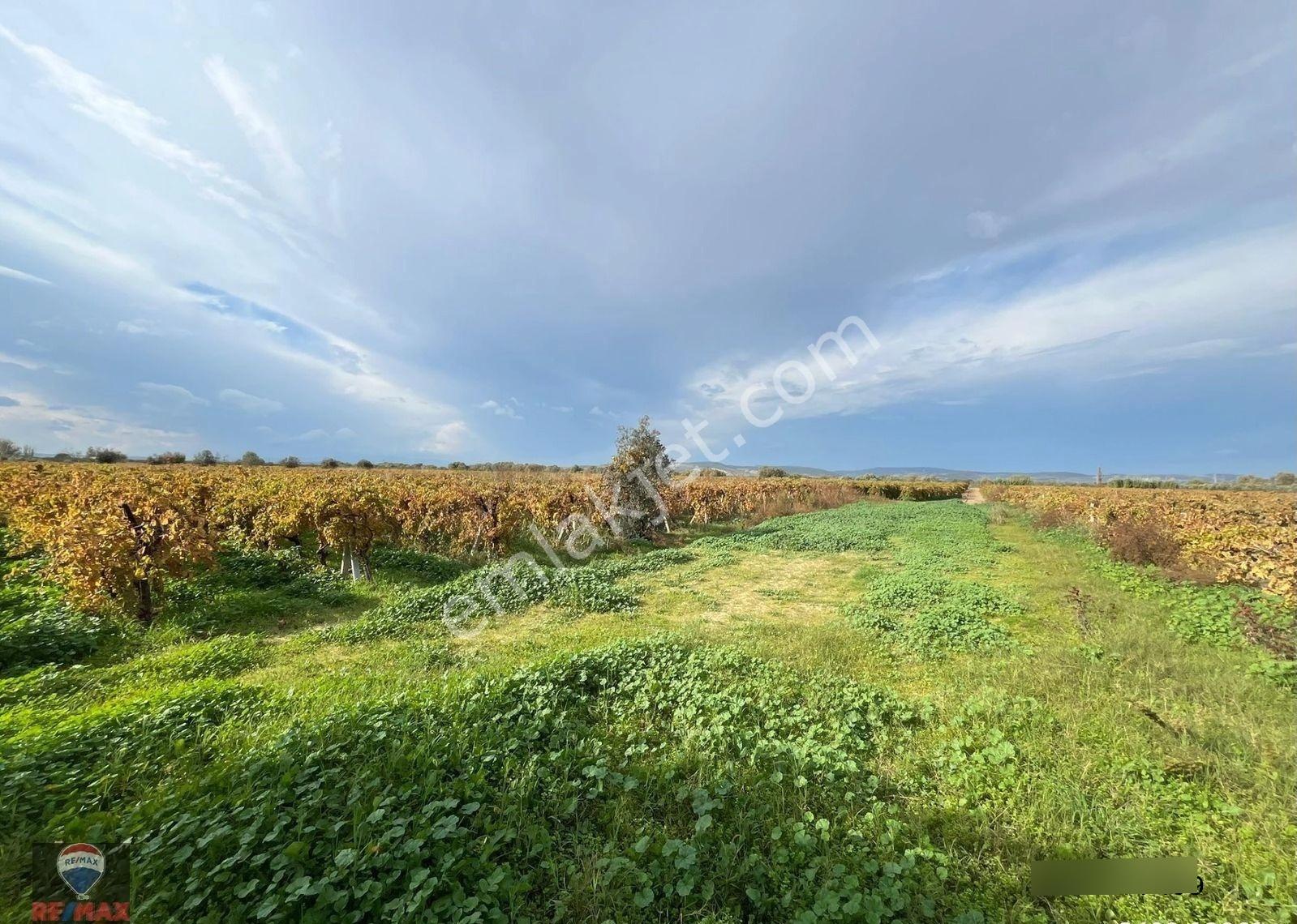 Menemen Çavuşköy Çanakkale Asfaltı Yakını 8.100 M2 Satılık Tarla - Görsel 3