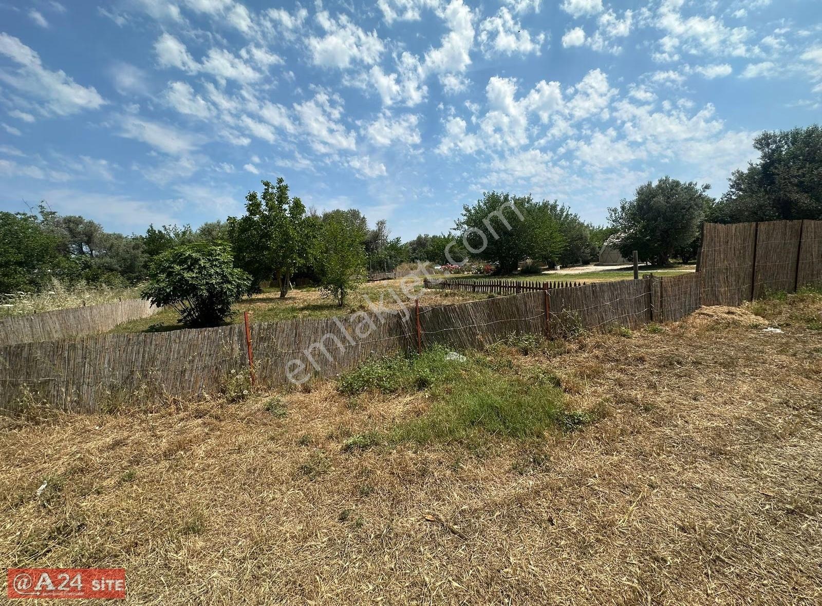 A24 Site Emlak Güzelbahçe Yalıda Merkezi Konumda Kiralık Tarla - Görsel 17