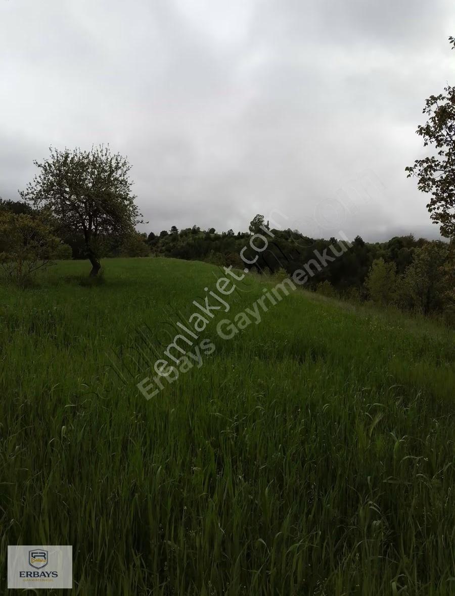 Bolu Mudurnu Keçikıran Satılık 30.117 M² Kümes/çiftlik Arazisi