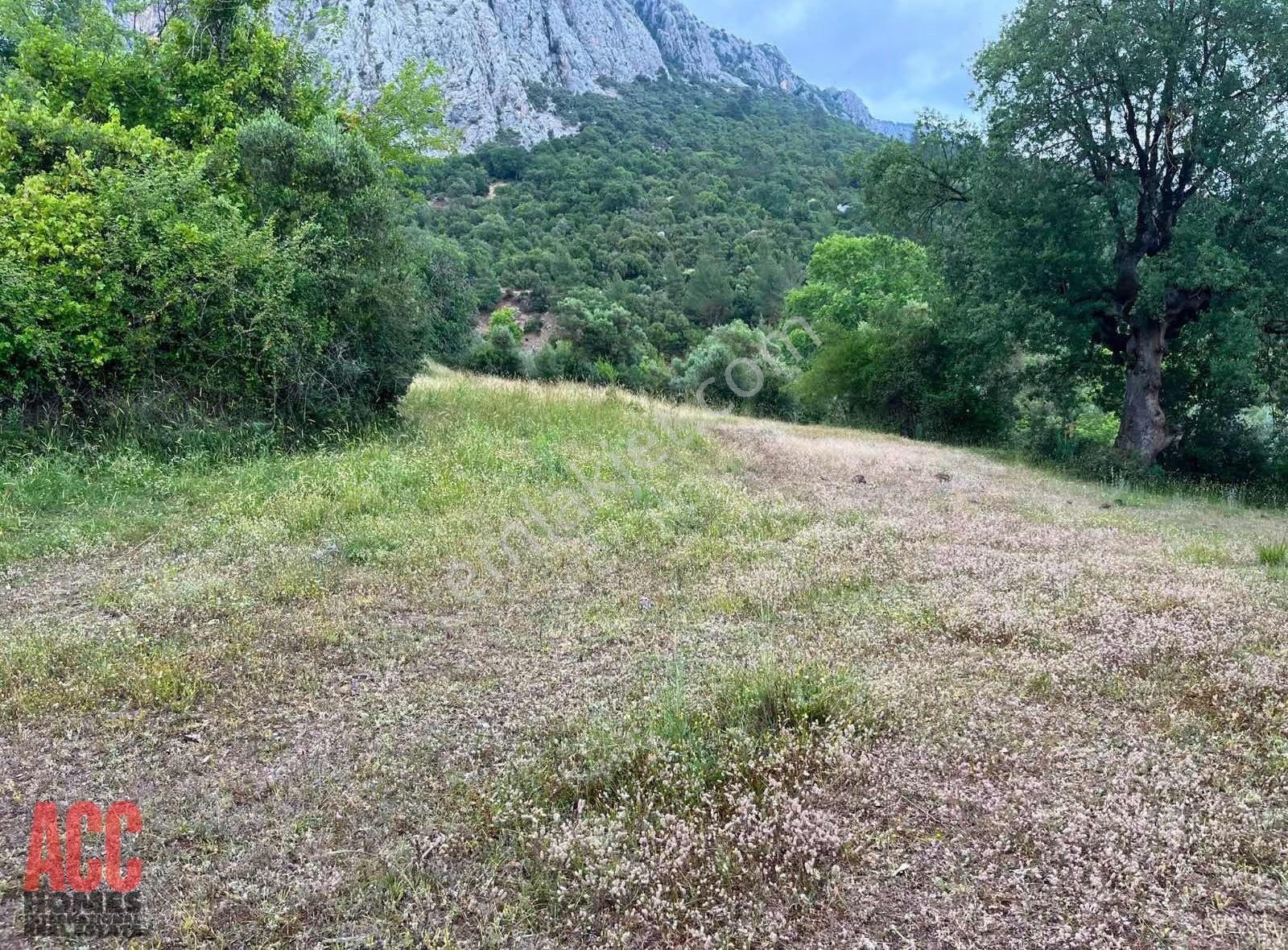 Acc Homes'tan Kızıllı Bucak Harika Manzarada 6575 M2 Tarla - Görsel 3