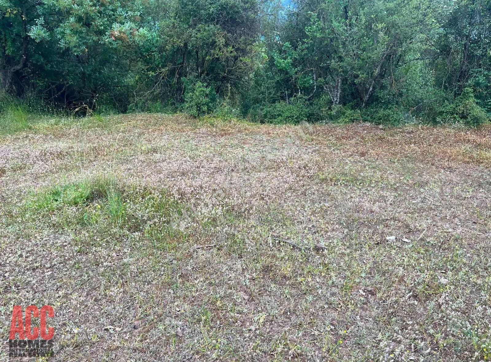 Acc Homes'tan Kızıllı Bucak Harika Manzarada 6575 M2 Tarla - Görsel 2