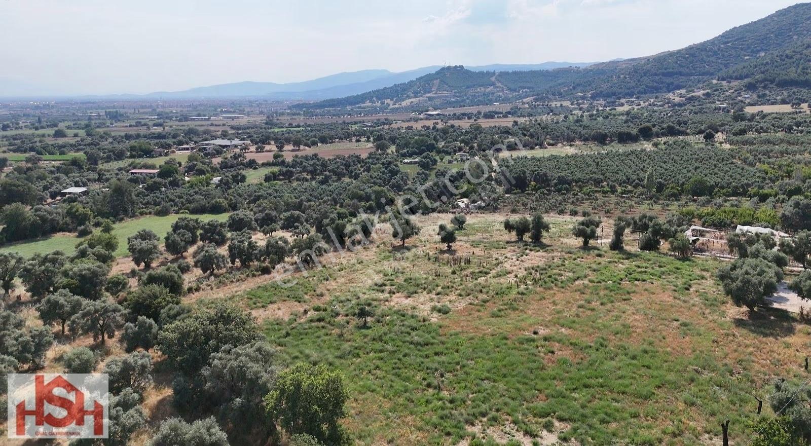 Ödemişe 2km Kilit Taş Üzerin'den Gidilen 11.400 M2 Düz Yer. - Görsel 3