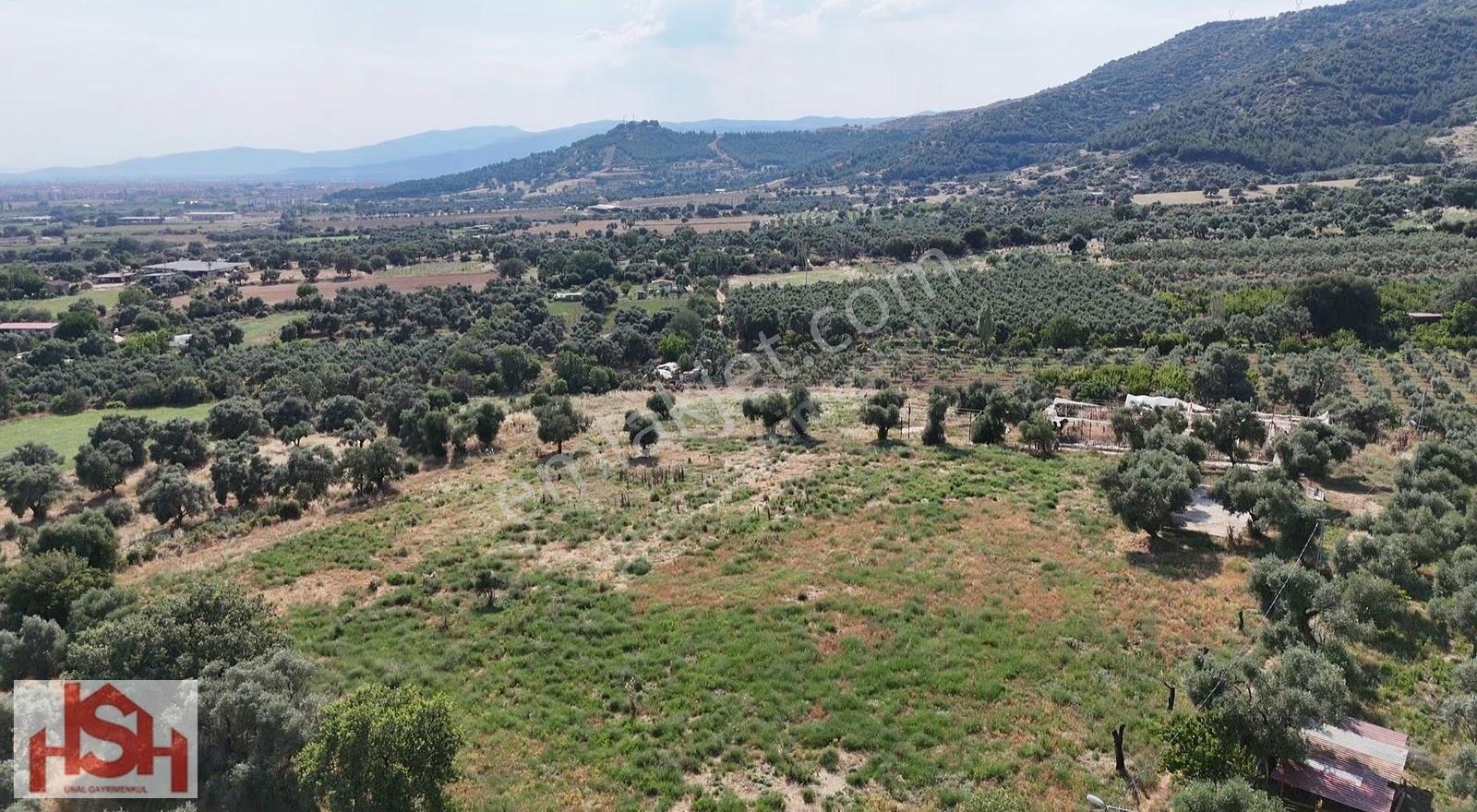 Ödemişe 2km Kilit Taş Üzerin'den Gidilen 11.400 M2 Düz Yer. - Görsel 5