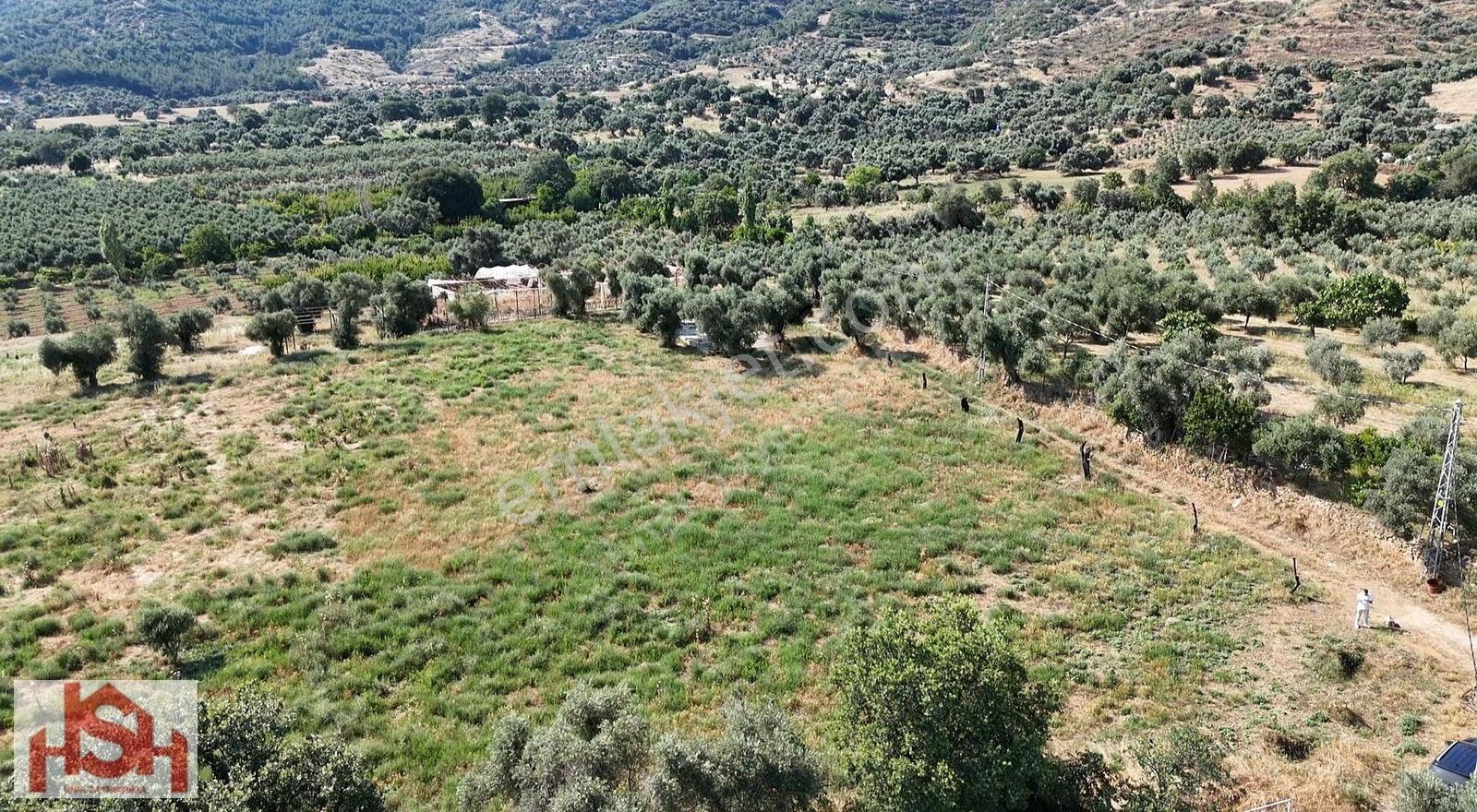 Ödemişe 2km Kilit Taş Üzerin'den Gidilen 11.400 M2 Düz Yer. - Görsel 2