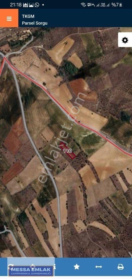 Satılık Tarla - Eskişehir Sivrihisar Tekören Köyü Karaağaç Mevki - Görsel 2