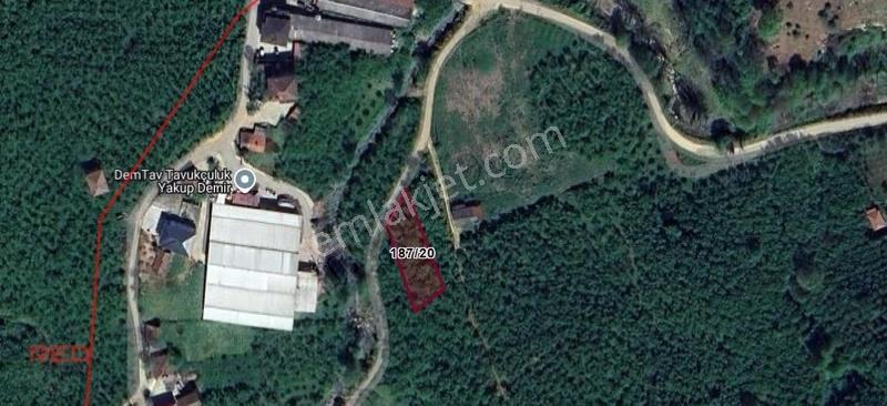 Sakarya Karasu'da 750m² Yola Cepheli Konut İmarlı Satılık Arsa - Görsel 2