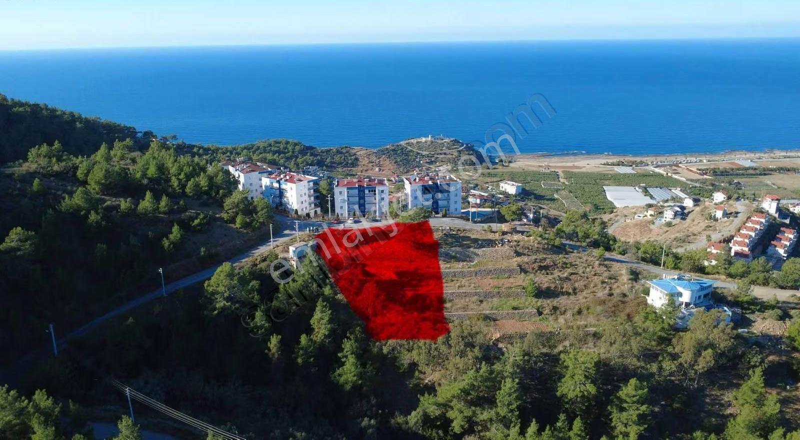 Harfiyatı Yapılmış Kısmi Denız Manzaralı - Görsel 5