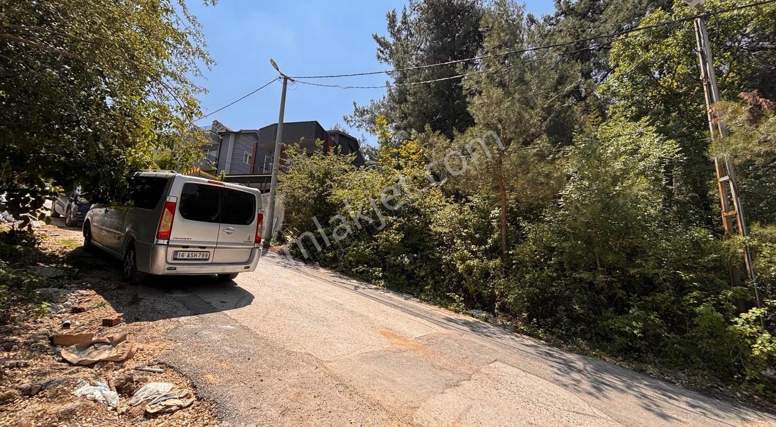 Gümüşlük'te Orman Manzaralı, Villa İmarlı 495m² Arsa - Görsel 2