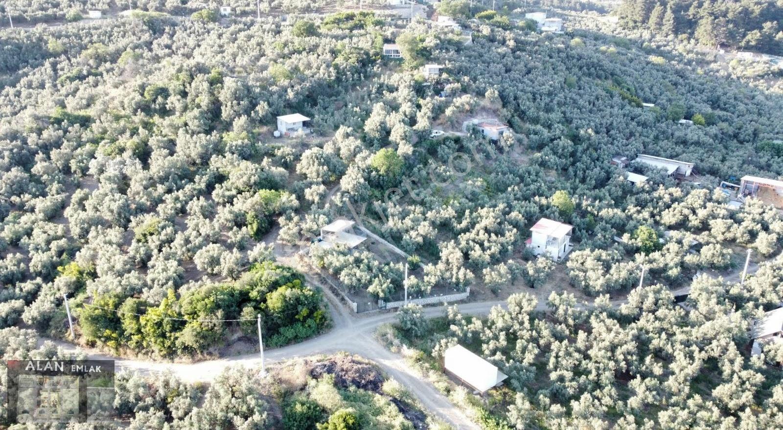 Mudanya Çepnide Deniz Manzaralı Yer - Görsel 2