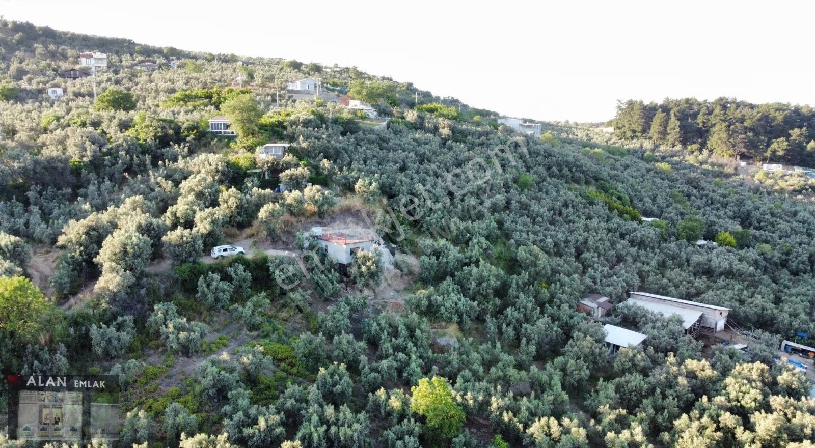 Mudanya Çepnide Deniz Manzaralı Yer - Görsel 5