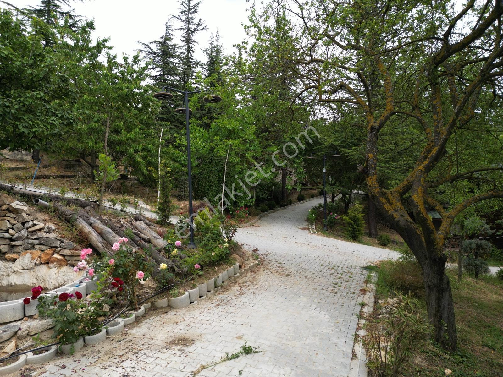 Bursa, Uludağ Yolu Üzerinde 5 Adet Satılık Ahşap Dağ Evi - Görsel 20