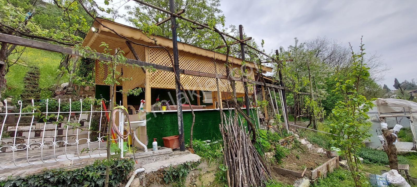 Safranbolu Babasultan 'da 1650 M2 Bahçeli Tarihi Tescilli Konak - Görsel 20