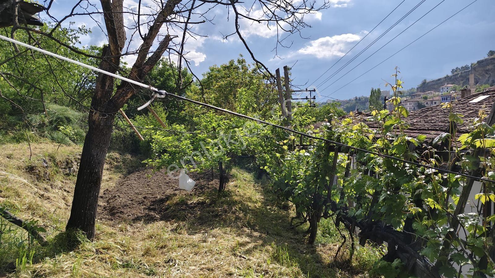 Safranbolu Babasultan 'da 1650 M2 Bahçeli Tarihi Tescilli Konak - Görsel 22