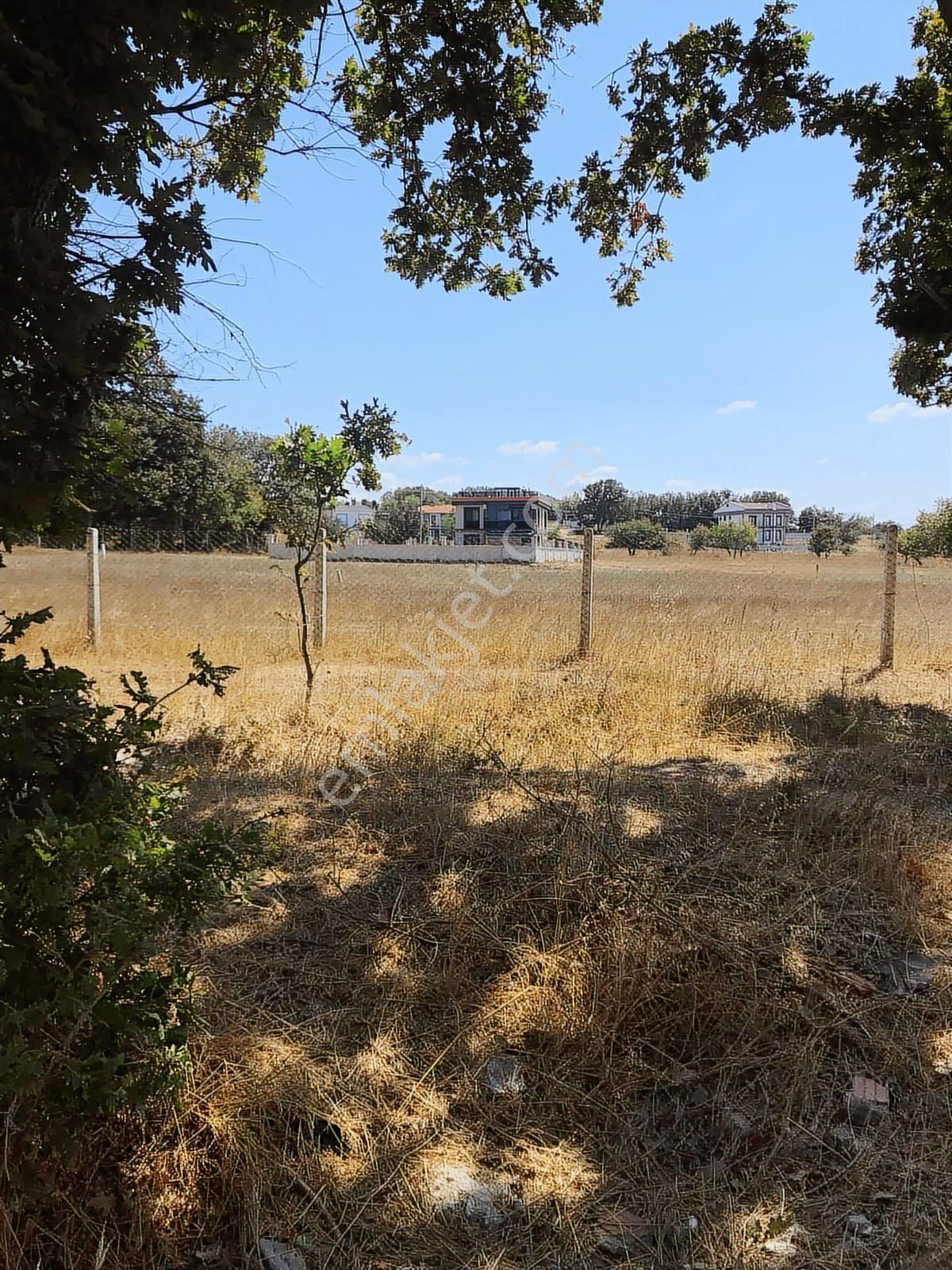 Silivri Büyükçavuşlu İmar Sınırında Satılık 6267 M2 Arazi - Görsel 5